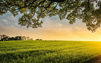 The Simplicity of Effortless Being