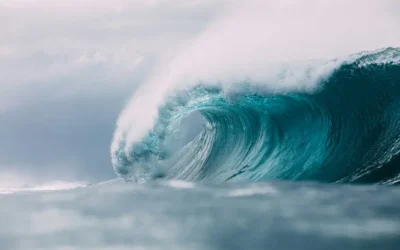 The Nature of Awareness