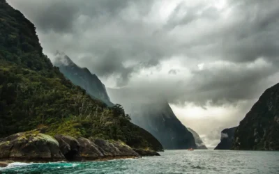 From Life Preoccupation to Life Purpose