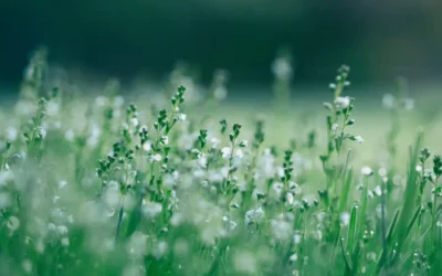 How Do We Change Our Beliefs if They’re Not Serving Us?