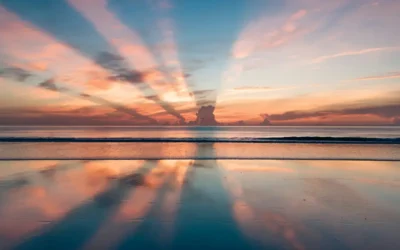 Do We Create Our Reality?