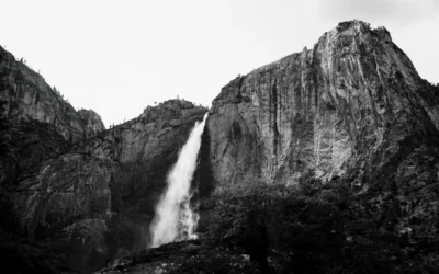 Distinguishing the Mind’s Thoughts from Infinite Nature’s