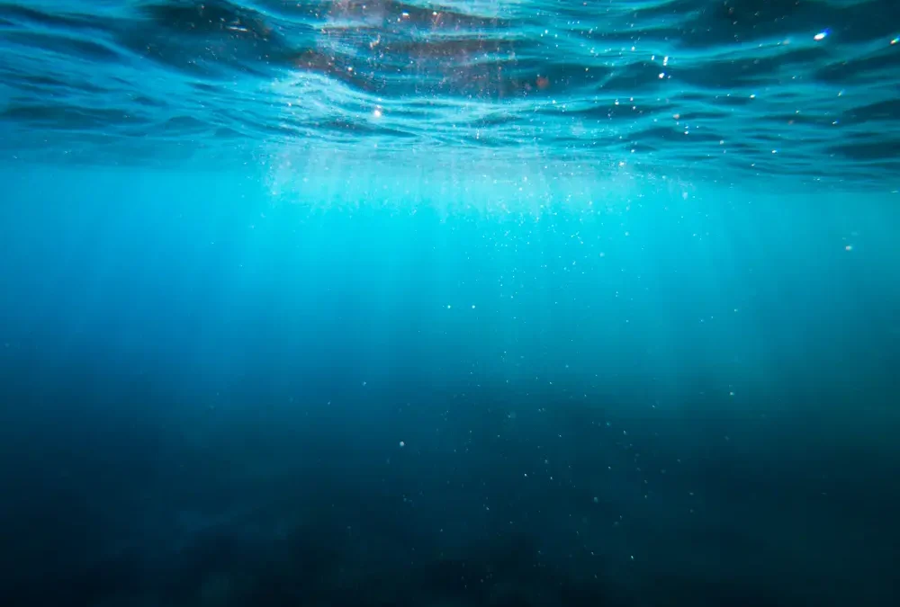 Returning to The Infinite Ocean of Consciousness