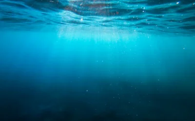 Returning to The Infinite Ocean of Consciousness