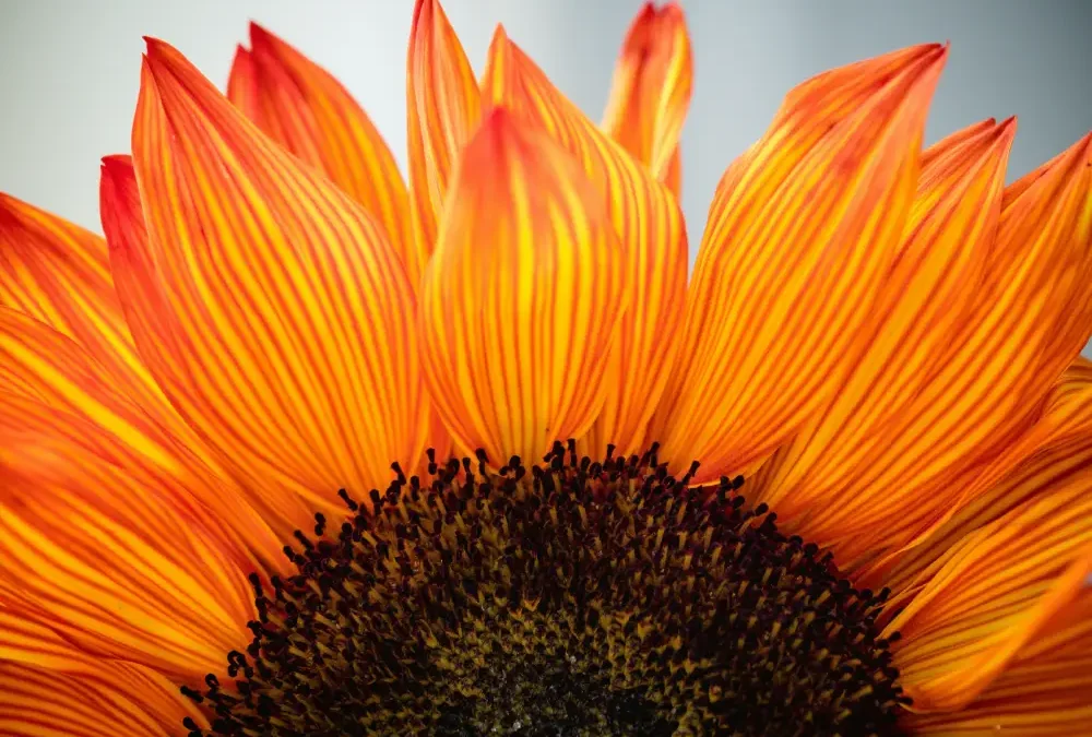 How Filters Shape Our Experience