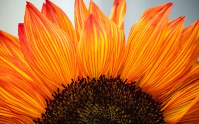 How Filters Shape Our Experience