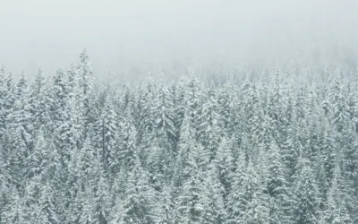 A Simple Exercise to Realize Attributeless Being