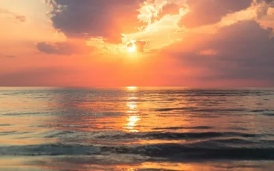 From Emotional Conditioning to Effortless Being