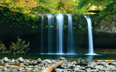 The Main Obstacles to Self-Realization